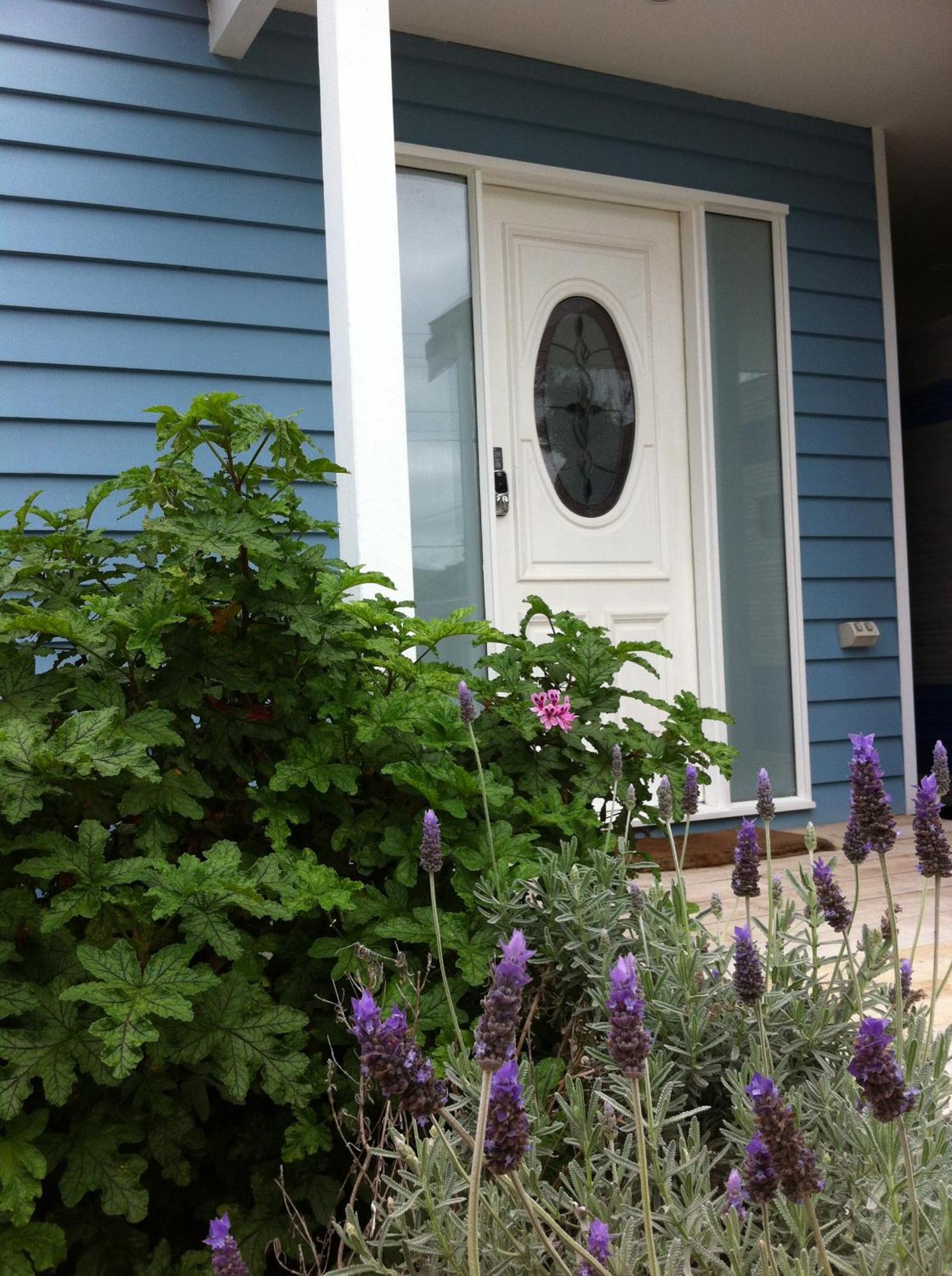 Sea Salt Bnb Rosebud Værelse billede